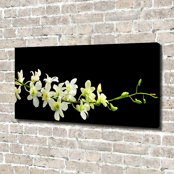 Cuadro canvas moderno de gran formato horizontal Orquídea