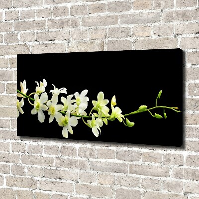 Cuadro canvas moderno de gran formato horizontal Orquídea
