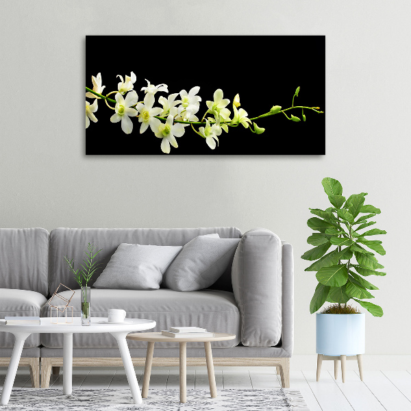Cuadro canvas moderno de gran formato horizontal Orquídea