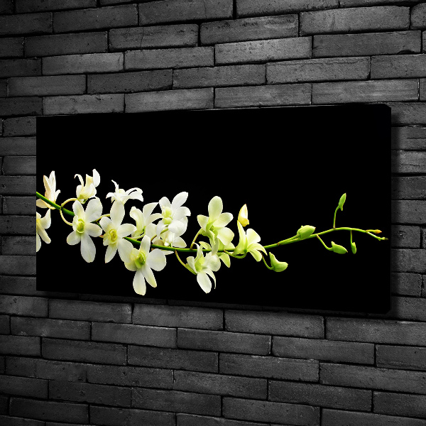 Cuadro canvas moderno de gran formato horizontal Orquídea