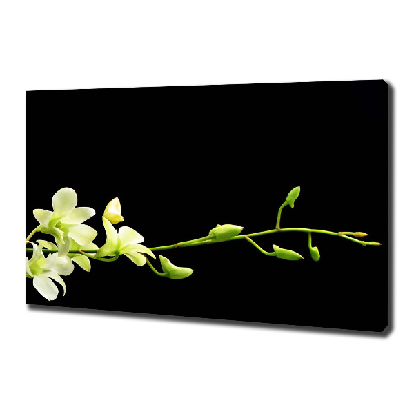 Cuadro canvas moderno de gran formato horizontal Orquídea