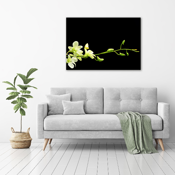 Cuadro canvas moderno de gran formato horizontal Orquídea