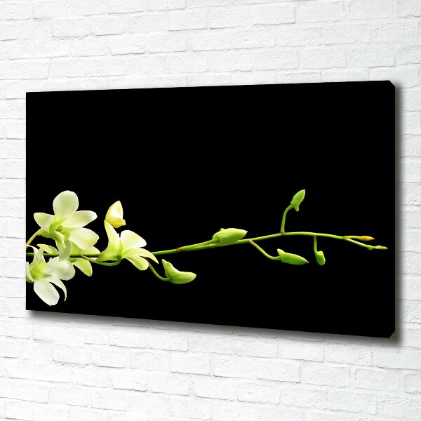 Cuadro canvas moderno de gran formato horizontal Orquídea