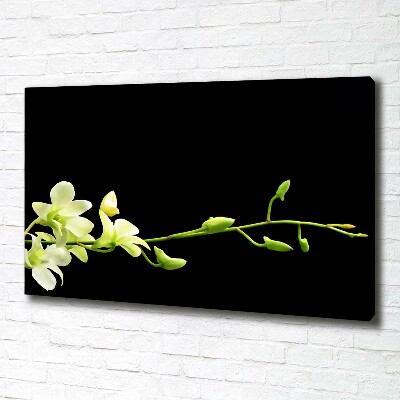 Cuadro canvas moderno de gran formato horizontal Orquídea