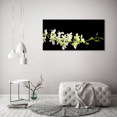 Cuadro canvas moderno de gran formato horizontal Orquídea