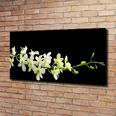 Cuadro canvas moderno de gran formato horizontal Orquídea
