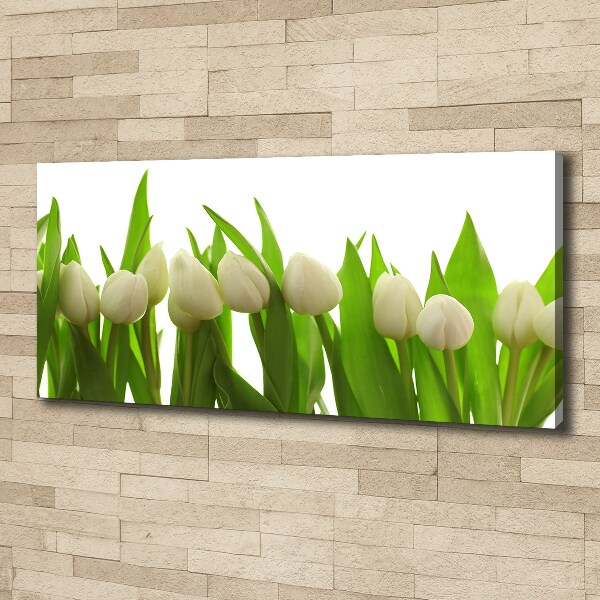 Fotocuadro en lienzo de alta calidad horizontal tulipanes blancos