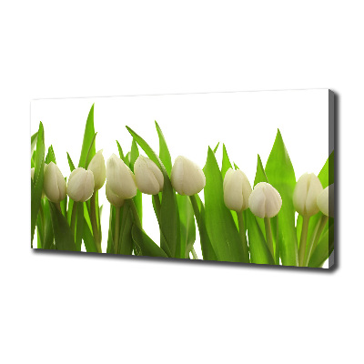 Fotocuadro en lienzo de alta calidad horizontal tulipanes blancos