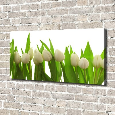 Fotocuadro en lienzo de alta calidad horizontal tulipanes blancos