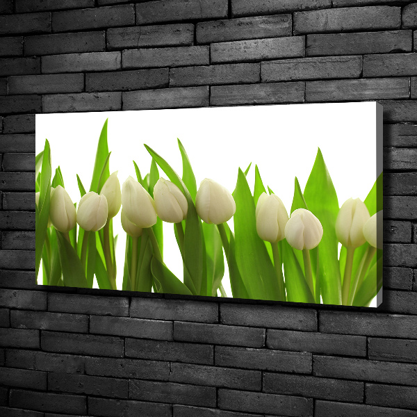 Fotocuadro en lienzo de alta calidad horizontal tulipanes blancos