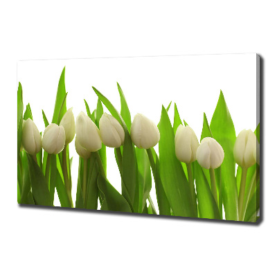 Fotocuadro en lienzo de alta calidad horizontal tulipanes blancos
