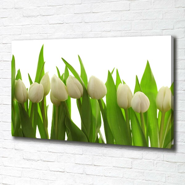 Fotocuadro en lienzo de alta calidad horizontal tulipanes blancos