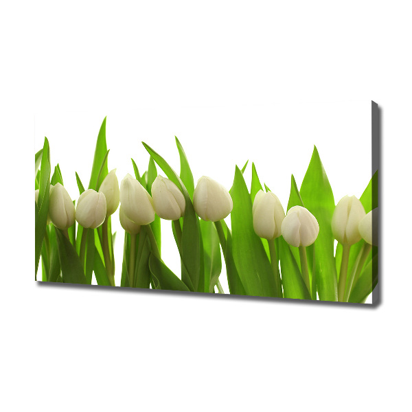 Fotocuadro en lienzo de alta calidad horizontal tulipanes blancos
