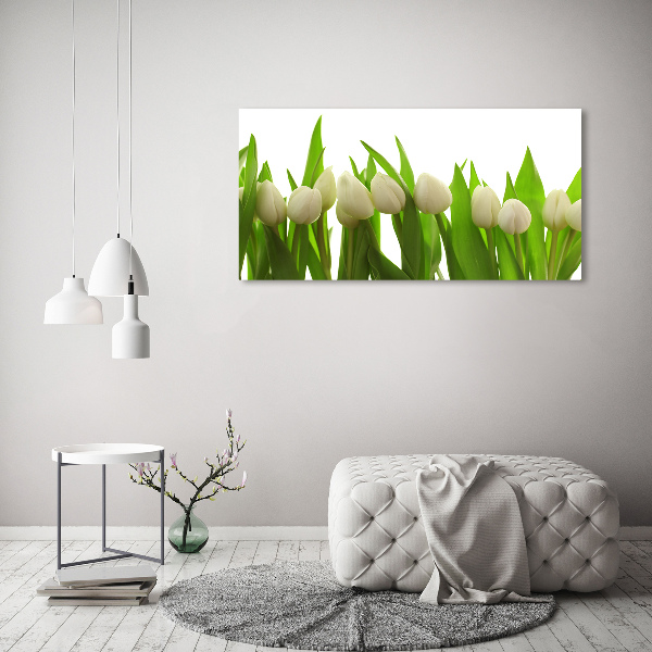 Fotocuadro en lienzo de alta calidad horizontal tulipanes blancos