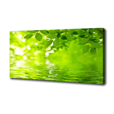 Cuadro canvas con impresión uv duradera horizontal hojas verdes