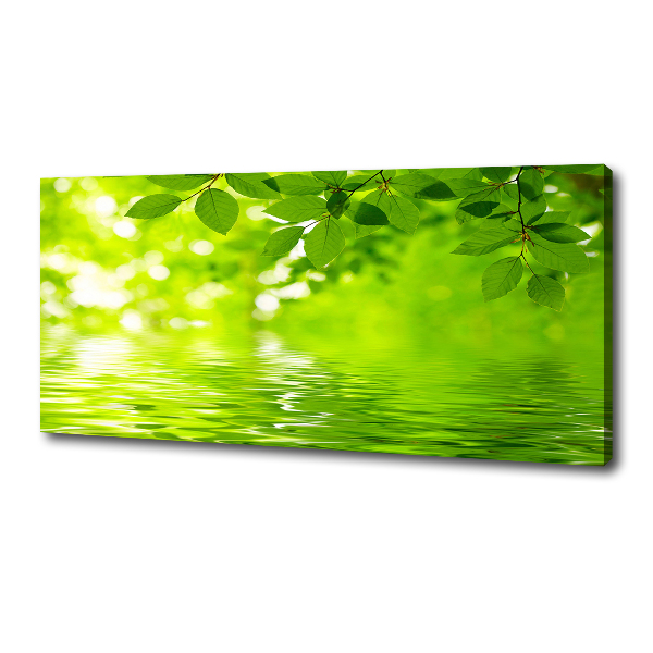 Cuadro canvas con impresión uv duradera horizontal hojas verdes