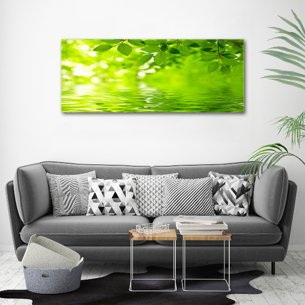 Cuadro canvas con impresión uv duradera horizontal hojas verdes