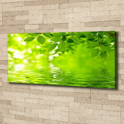 Cuadro canvas con impresión uv duradera horizontal hojas verdes