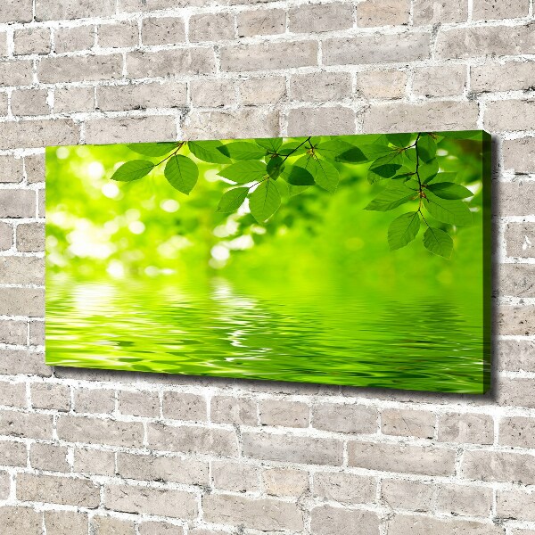 Cuadro canvas con impresión uv duradera horizontal hojas verdes