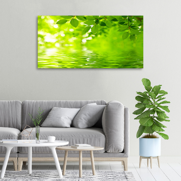 Cuadro canvas con impresión uv duradera horizontal hojas verdes