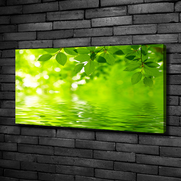 Cuadro canvas con impresión uv duradera horizontal hojas verdes