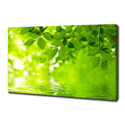 Cuadro canvas con impresión uv duradera horizontal hojas verdes