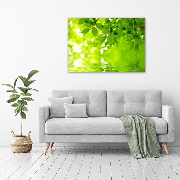 Cuadro canvas con impresión uv duradera horizontal hojas verdes