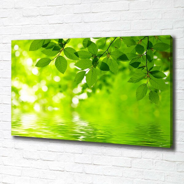 Cuadro canvas con impresión uv duradera horizontal hojas verdes