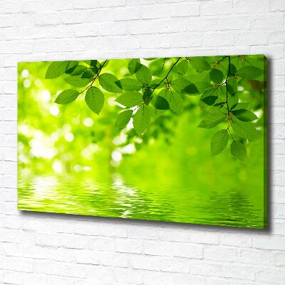 Cuadro canvas con impresión uv duradera horizontal hojas verdes