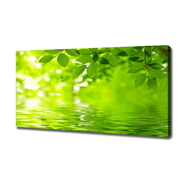 Cuadro canvas con impresión uv duradera horizontal hojas verdes