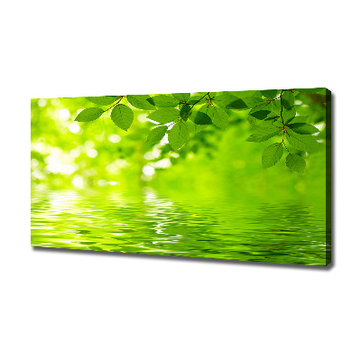 Cuadro canvas con impresión uv duradera horizontal hojas verdes