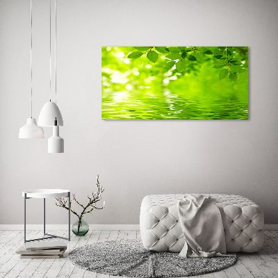 Cuadro canvas con impresión uv duradera horizontal hojas verdes