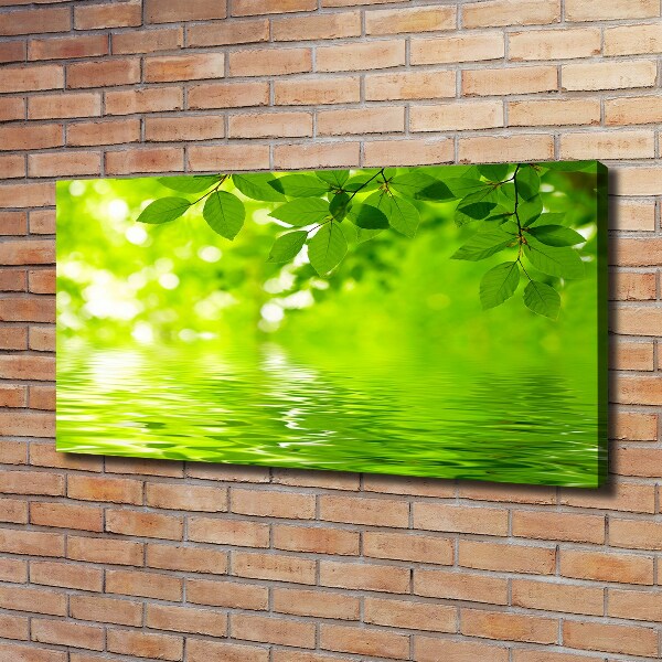Cuadro canvas con impresión uv duradera horizontal hojas verdes