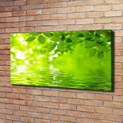 Cuadro canvas con impresión uv duradera horizontal hojas verdes