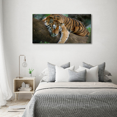 Fotocuadro en lienzo de alta calidad horizontal Tigre en un árbol