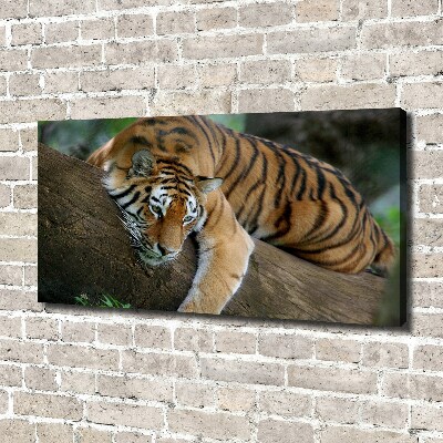 Fotocuadro en lienzo de alta calidad horizontal Tigre en un árbol