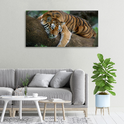 Fotocuadro en lienzo de alta calidad horizontal Tigre en un árbol