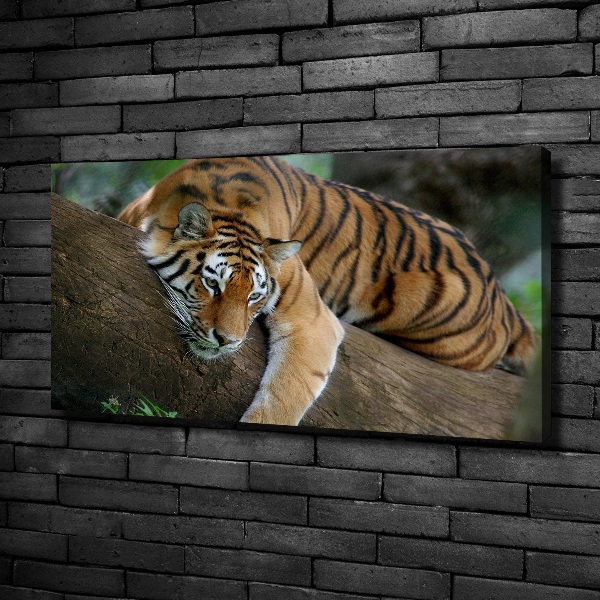 Fotocuadro en lienzo de alta calidad horizontal Tigre en un árbol