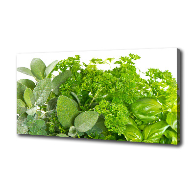 Foto en lienzo con acabado profesional horizontal Hierbas