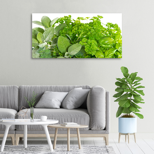 Foto en lienzo con acabado profesional horizontal Hierbas