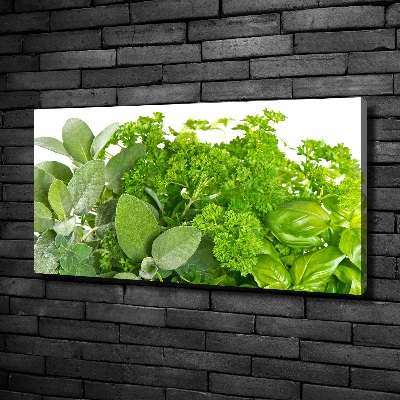 Foto en lienzo con acabado profesional horizontal Hierbas