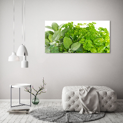 Foto en lienzo con acabado profesional horizontal Hierbas
