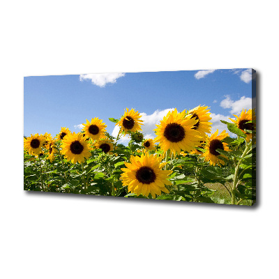 Cuadro canvas con impresión uv duradera horizontal Girasoles