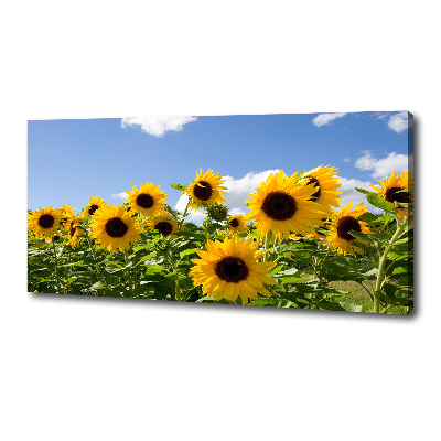 Cuadro canvas con impresión uv duradera horizontal Girasoles