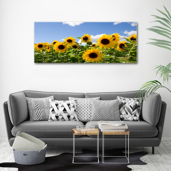 Cuadro canvas con impresión uv duradera horizontal Girasoles
