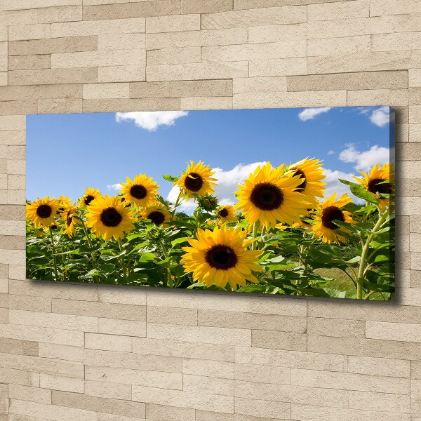 Cuadro canvas con impresión uv duradera horizontal Girasoles