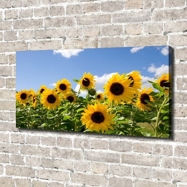 Cuadro canvas con impresión uv duradera horizontal Girasoles