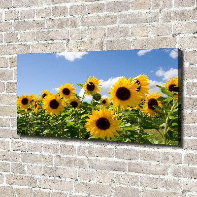 Cuadro canvas con impresión uv duradera horizontal Girasoles