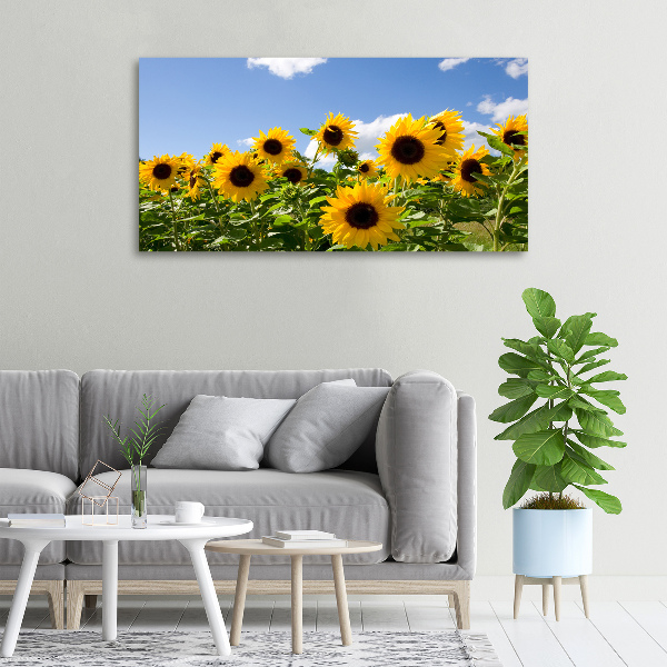 Cuadro canvas con impresión uv duradera horizontal Girasoles