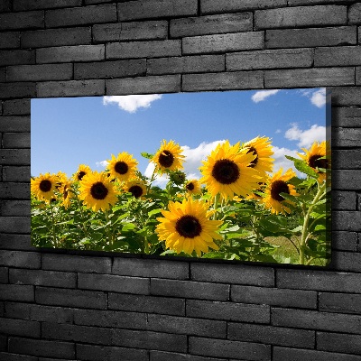 Cuadro canvas con impresión uv duradera horizontal Girasoles